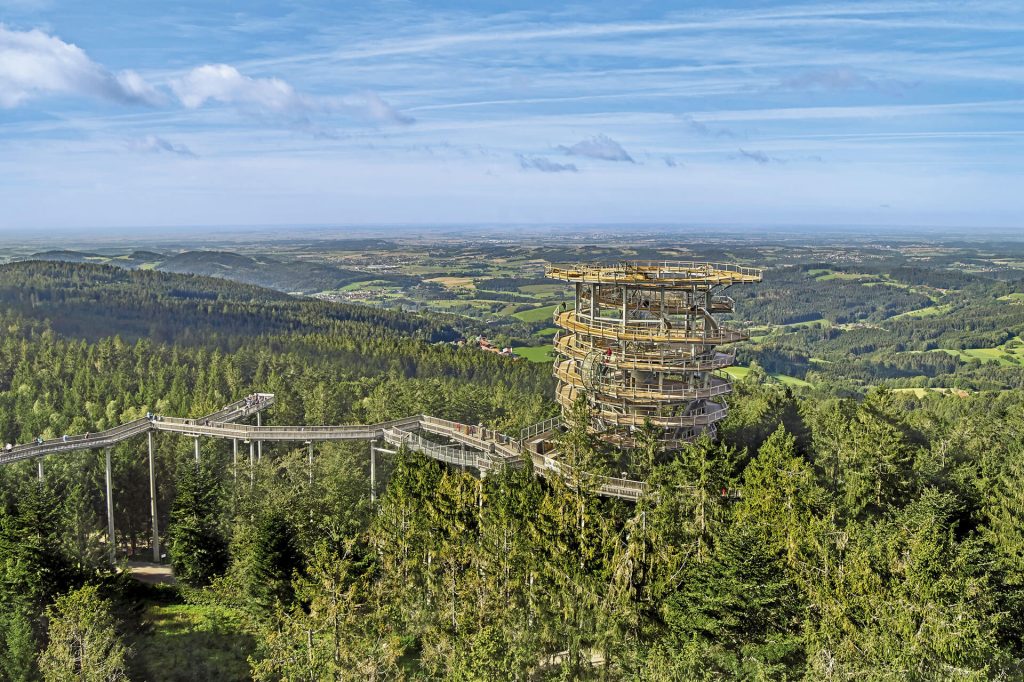 Turm Waldwipfelweg